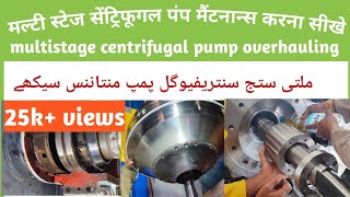 Celebrity Centrifugal pump dismantling/assembly/ troubleshooting/maintenance/overhauling Net Worth