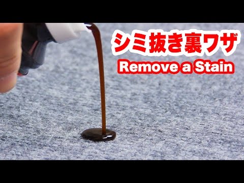 How To Remove a Stain with Vacuum Cleaner!?
