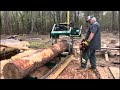 Save a blade….. use a debarker
