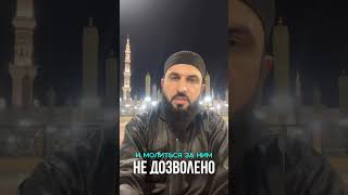 🔥 О такфире мушриков: что можно говорить, а что нельзя! 🔥 #Ислам#Коран#Сунна#Умма#таухид