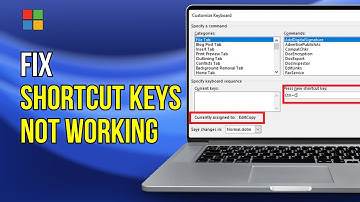 Ctrl+A CTRL+C and CTRL+V Not Working in Windows 11/10 (3 fix for laptop and computer)