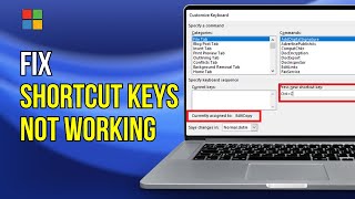 Ctrl+A CTRL+C and CTRL+V Not Working in Windows 11/10 (3 fix for laptop and computer) Guide