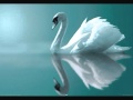 Swan Lake Ballet (Tchaikovsky) -Act I: IX. Finale (Andante)