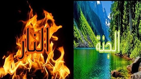 فضيلة الشيخ د. ياسر الدوسري {إن يوم الفصل ميقاتهم أجمعين } سورة الدخان