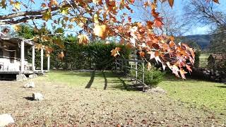 Inside Scribbly Gum Cottage At Kangaroo Valley, New South Wales