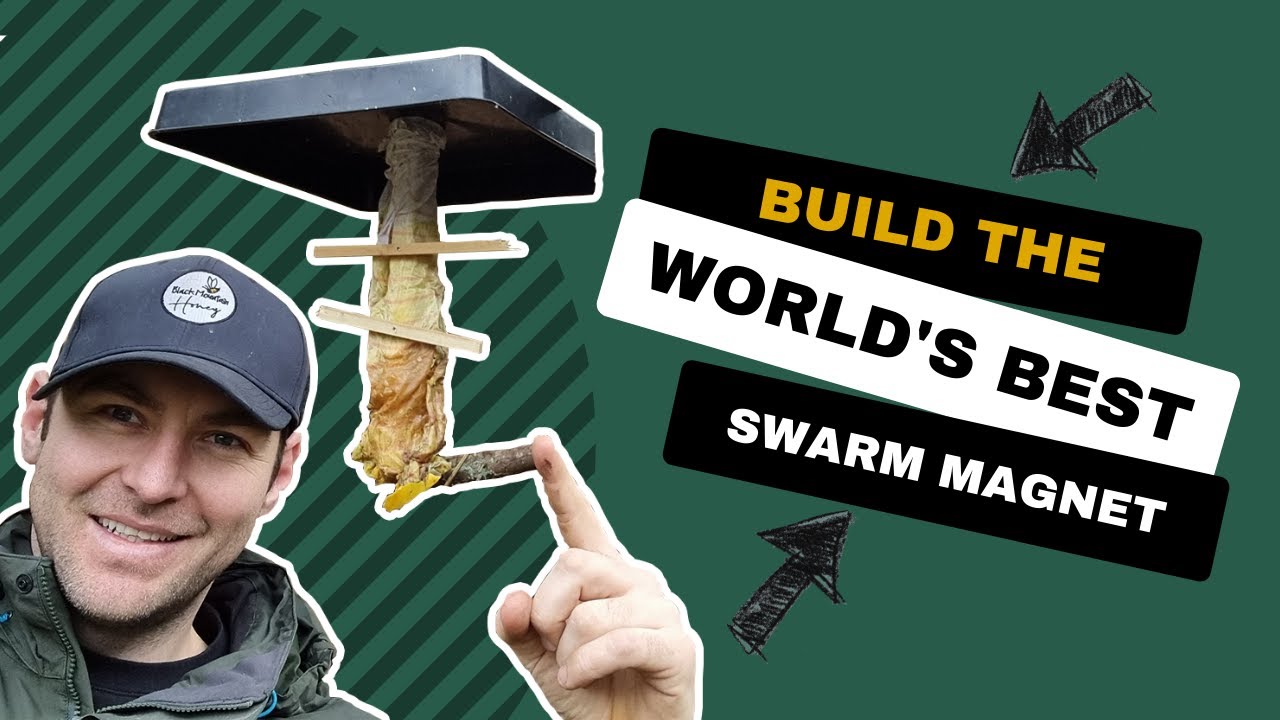Build The Worlds Best Swarm Magnet - How A Russian Scion Helps You Catch More Swarms