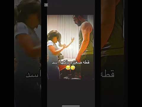 مصارعه حره