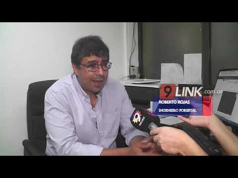 C9 - Corrientes; ¡Alerta! Incendios forestales cumbias mix
