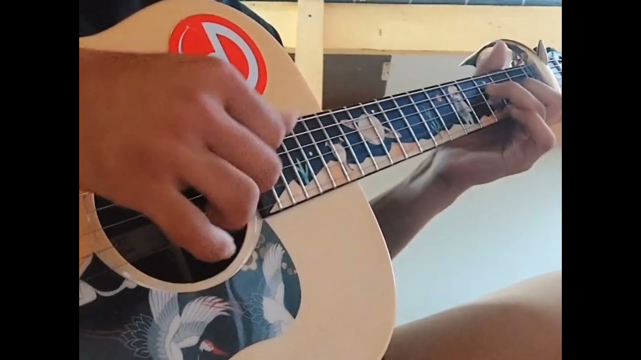 Lana Del Ray - Radio - ( Guitar Cover )