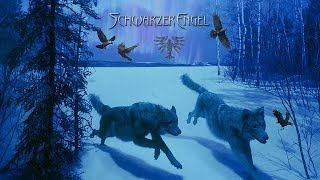 Schwarzer Engel - Wintertod