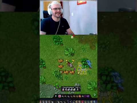 Projetinho com a LIVE Shiny raichu | #migsyto em #Twitch.tv/migsyto #PXG #POKEXGAMES #POKEMON #SHINY