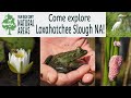 ERM Virtual Field Trip: Loxahatchee Slough