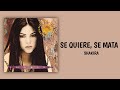 Se Quiere Se Mata Shakira Lyrics Audio mp3