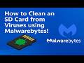How to clean an SD card from viruses using Malwarebytes!