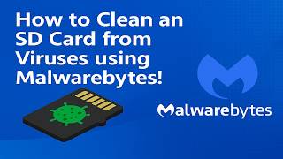 How to clean an SD card from viruses using Malwarebytes!