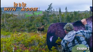 Moose hunt part 2 screenshot 2