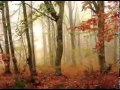 موسيقى الرومانسيه مع الحب متمنيا لكم كامل من ليلة حب