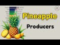 Top 10 Pineapple Production Worldwide 1961 - 2025