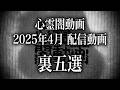 【2025年4月】スタッフも本気で震えた…心霊闇動画の裏ベスト5!【鳥肌まとめ】