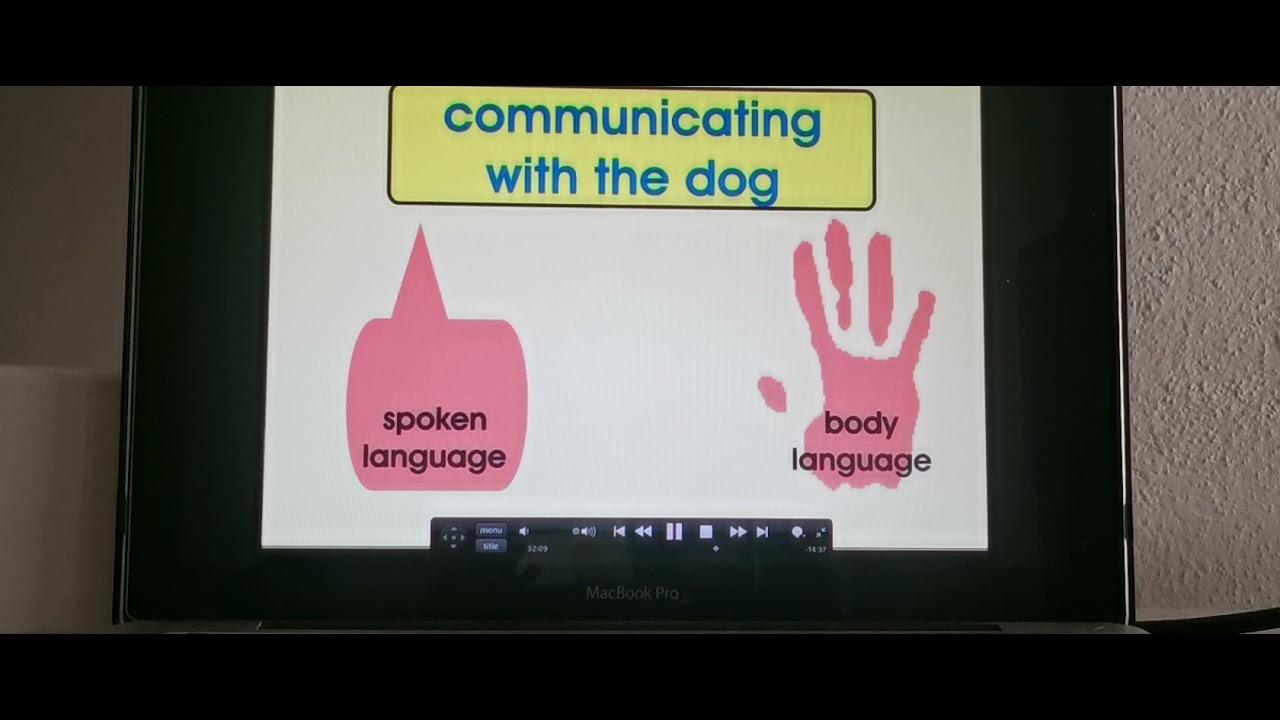 Helmut Raiser (Aristo)