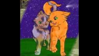 Коты-Воители Пестролистая Коты-Воители Пестролистая