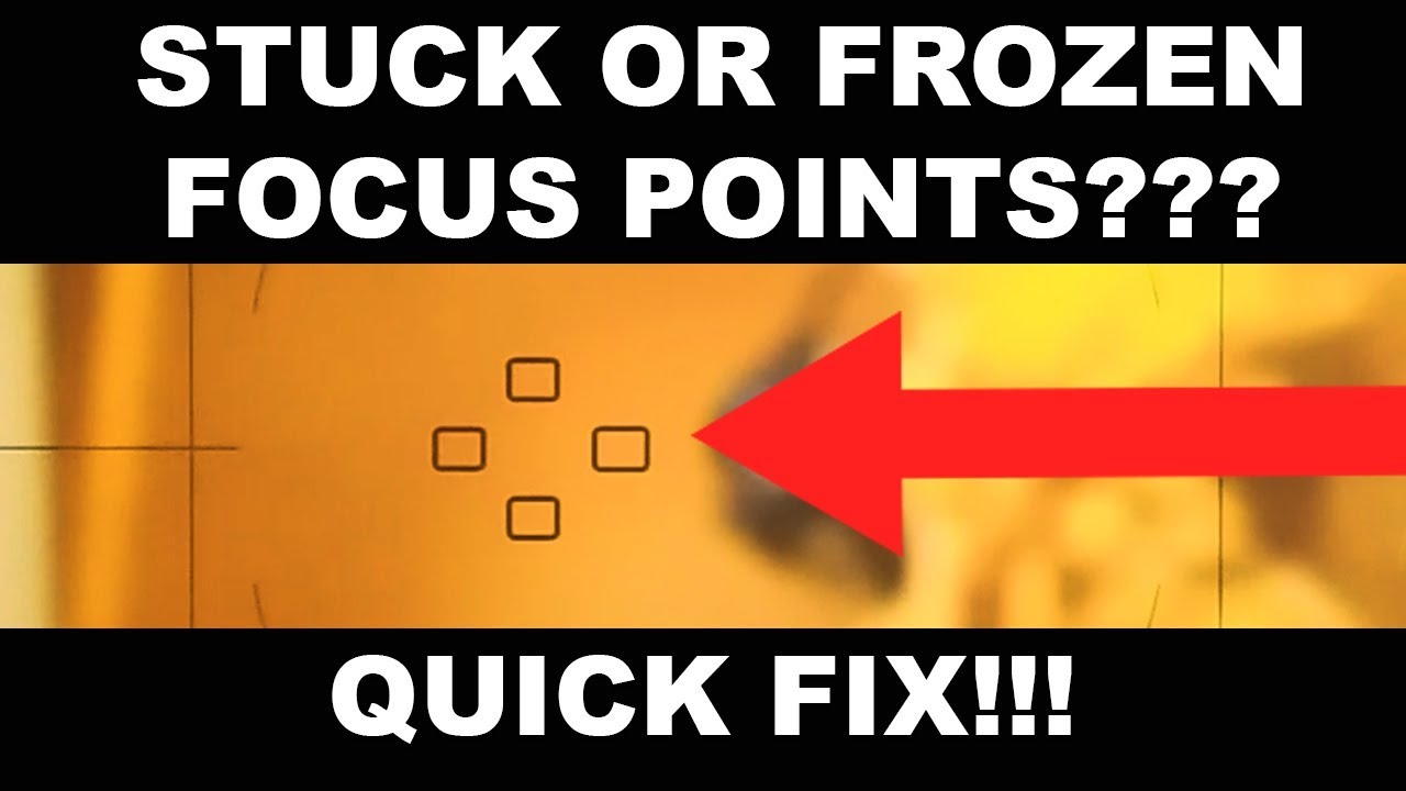 Nikon Stuck Or Frozen Focus Points Quick Fix YouTube nikon-stuck-or-frozen-focus-points-quick-fix-youtube