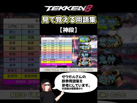 【鉄拳8】見て覚える用語集【神段】