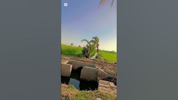 سورة الكهف بصوت القارئ اسلام صبحي..
