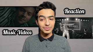 ردة فعلي على فيديو طعم الصيف | اعشقك | TPWK | لهاري ستايلز | Harry Styles Music Videos Reaction