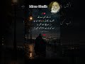 #ghalib#hearttouching#virelshorts #shayari