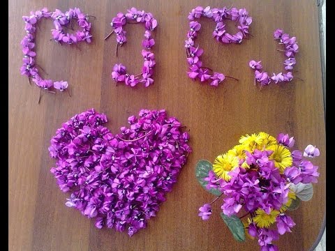 ყველაზე ლამაზი და ხმაურიანი დედიკოები