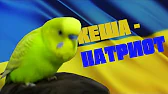 РИКАРДО