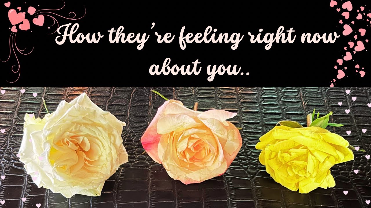 Pick A Card • INTUITIVE FLOWER Reading🌸How Your PERSON Is Thinking & FEELING About YOU + MESSAGES 💌🤫