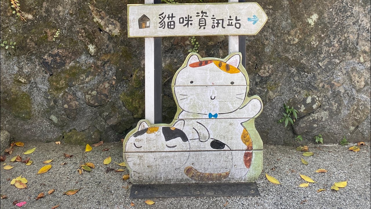 台湾旅行2024 一人旅