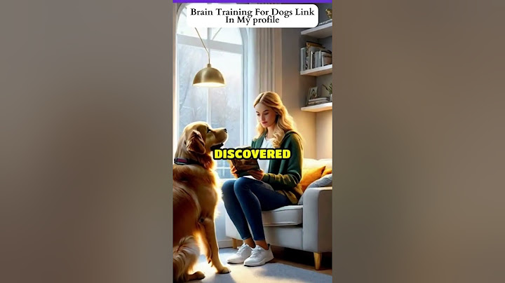 Heartwarming Reunion of Lost Dog and Owner | A Tale of Love and Loyalty