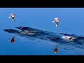 Jet Suit Medics: Rapid Water Response Ex