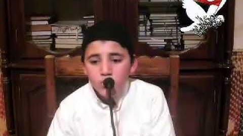 القارئ محمد أمين التونسي سورة القيامة 