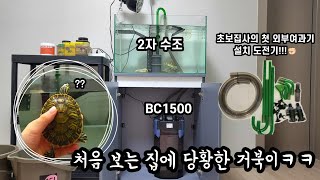 초보집사의 첫 외부여과기 설치 도전기ㅋㅋ (feat. 새 집에 충격받은 코코🐢)