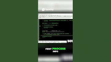 ☠️WINDOWS PROCESSES : HOW THEY