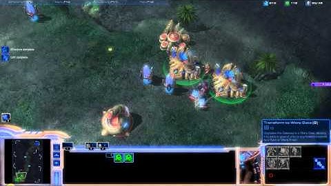 SC 2 Protoss Starting - Picking Your Opening Build - noob Tutorials1