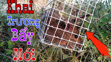 Bẩy chuột đồng  - Ngày Đầu tiên Xuất Hành bẩy Mới //Học Vlog