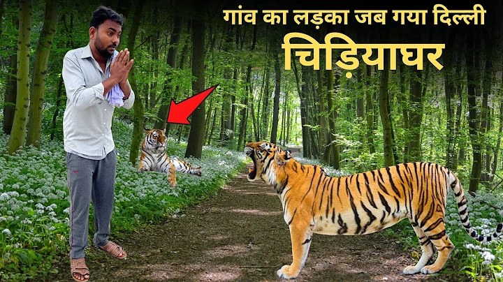 Amar Help