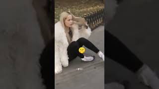 Gelir Yine Qamze Fanlarıı Qamze Karta Yapamıyorsun Yapma O Zaman