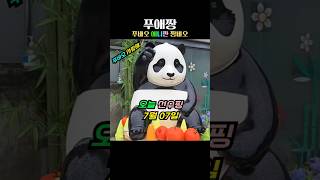 오늘 선수핑 푸바오가 많이 보고싶네요