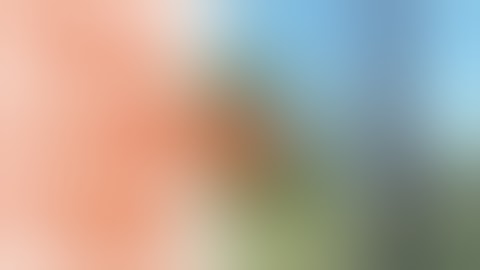 Tree Cutting Gone Wrong Compilation