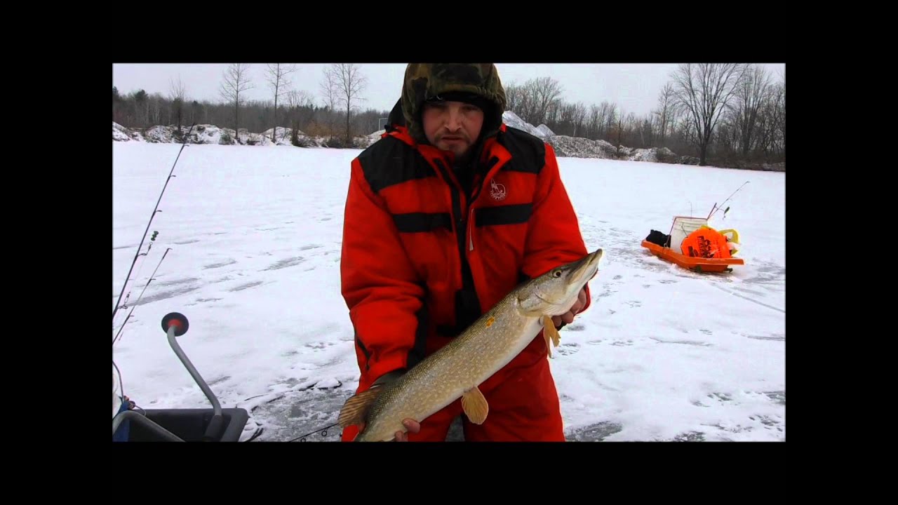 First Pike of 2016 Ice Fishing YouTube