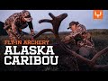 Fly in archery caribou hunt  on the hunt with janis putelis