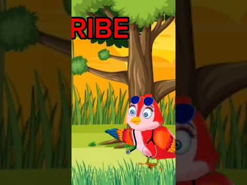 tuna Tumi video #youtubeshorts #cartoon #kids toon Bangla by Sabbir