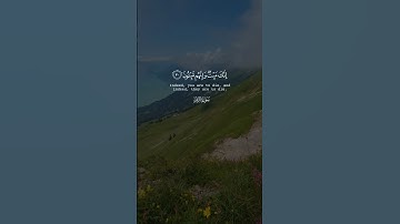 انك ميت و إنهم ميتون قران كريم #قرآن #اكسبلور #ارحقلبك #capcut #دويتو #duet #قران #راحة_نفسية #قرآن