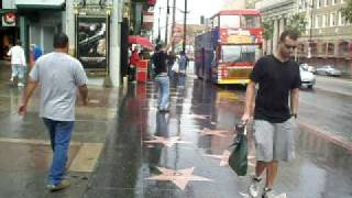 rain on hollywood blvd